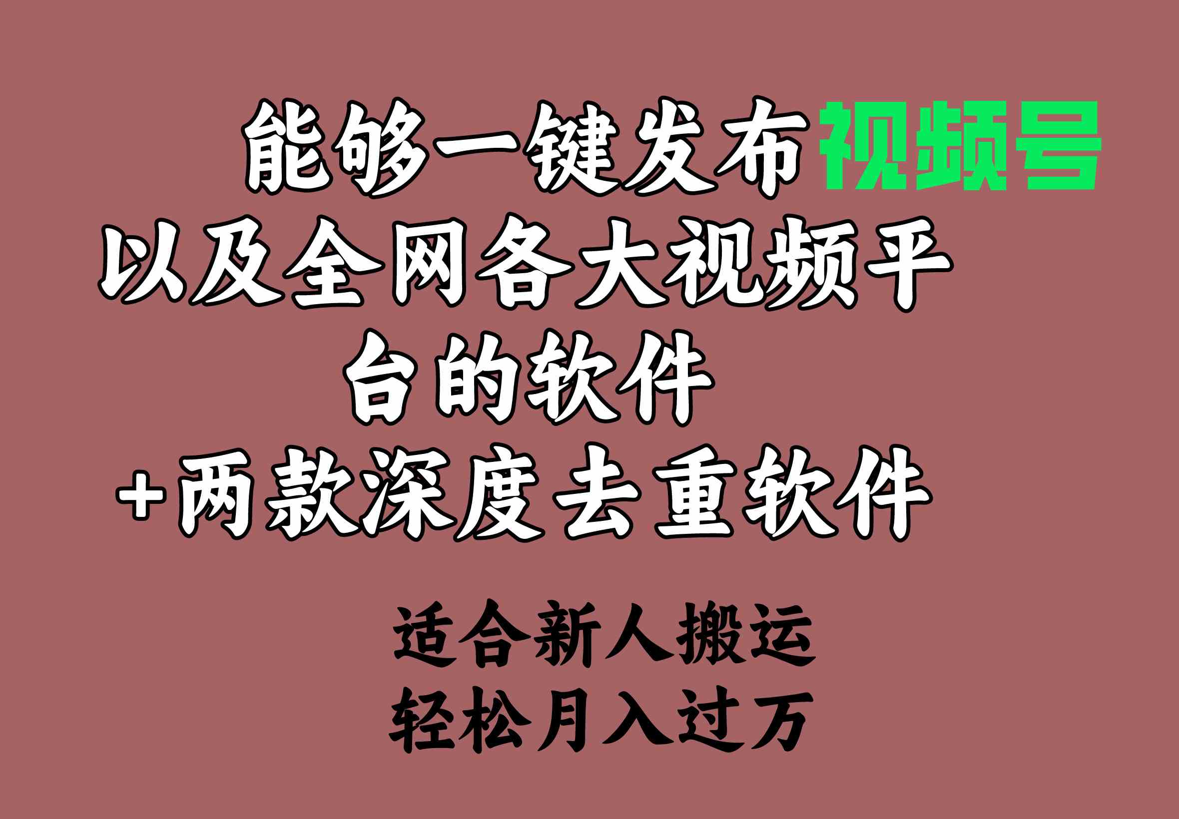 （9319期）能够一键发布视频号以及全网各大视频平台的软件+两款深度去重软件 适合…-玖卿社区