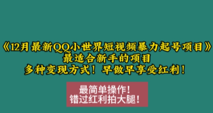 12月最新QQ小世界短视频暴力起号项目，最适合新手的项目，多种变现方式-玖卿社区