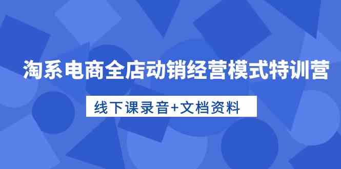 （10192期）淘系电商全店动销经营模式特训营，线下课录音+文档资料-玖卿社区