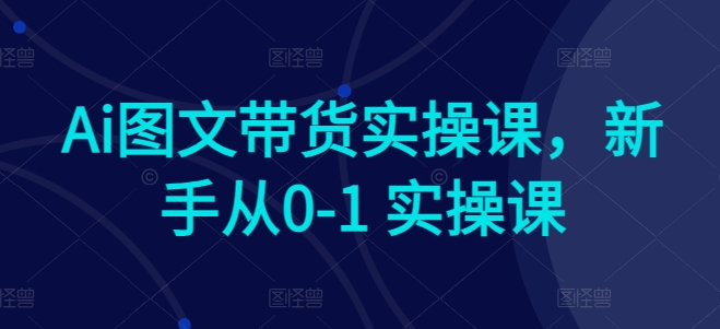 Ai图文带货实操课，新手从0-1 实操课-玖卿社区