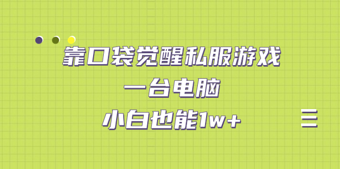 靠口袋觉醒私服游戏，一台电脑，小白也能1w+（教程+工具+资料）-玖卿社区