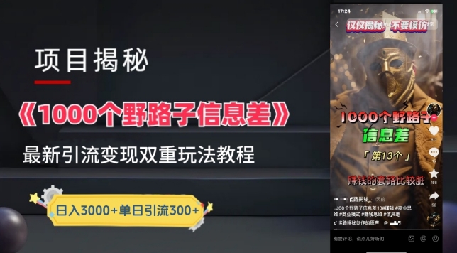 一千个野路子信息差最新玩法教程-变现+引流的玩法具体拆解-玖卿社区