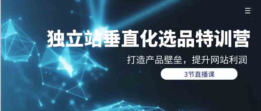 独立站垂直化选品训练营，打造产品壁垒，提升网站利润（3节直播课）-玖卿社区