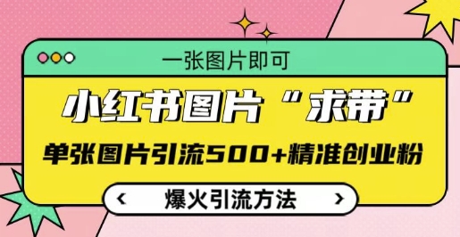 小红书图片‘求带’爆火引流法，单张图片引流500+精准创业粉【揭秘】-玖卿社区