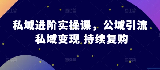 私域进阶实操课，公域引流 私域变现 持续复购-玖卿社区