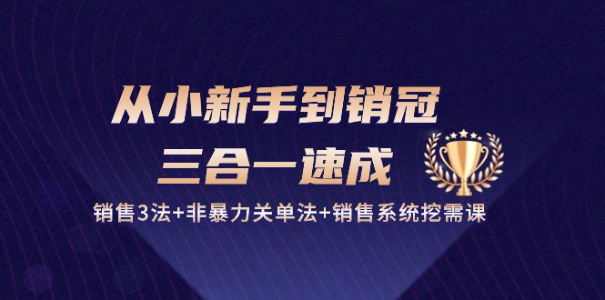 从小新手到销冠三合一速成：销售3法+非暴力关单法+销售系统挖需课 (27节)-玖卿社区