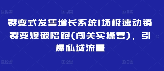 裂变式发售增长系统1场极速动销裂变爆破陪跑(闯关实操营)，引爆私域流量-玖卿社区