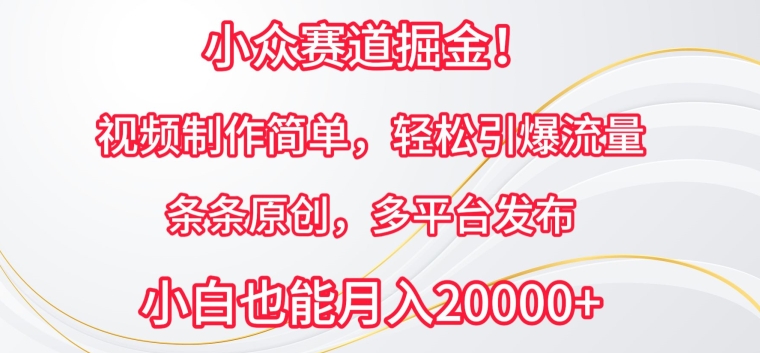 小众赛道掘金，视频制作简单，轻松引爆流量，条条原创，多平台发布-玖卿社区