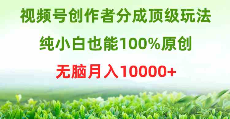 （9608期）视频号创作者分成顶级玩法，纯小白也能100%原创，无脑月入10000+-玖卿社区