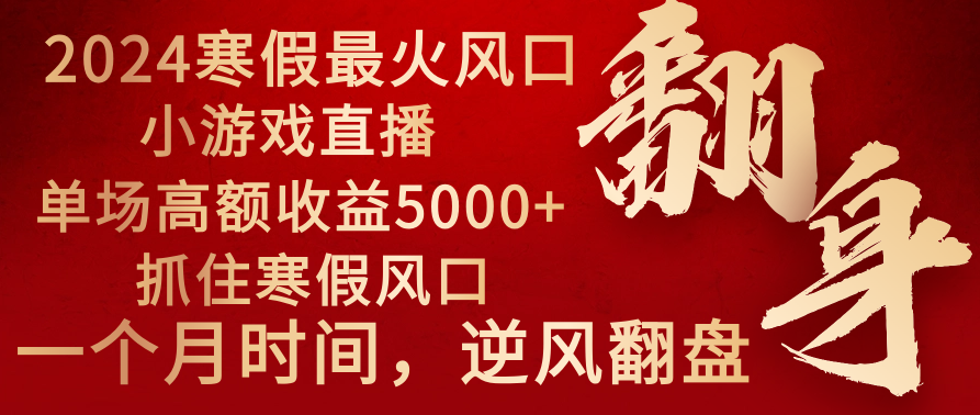 2024年最火寒假风口项目 小游戏直播 单场收益5000+抓住风口 一个月直接提车-玖卿社区