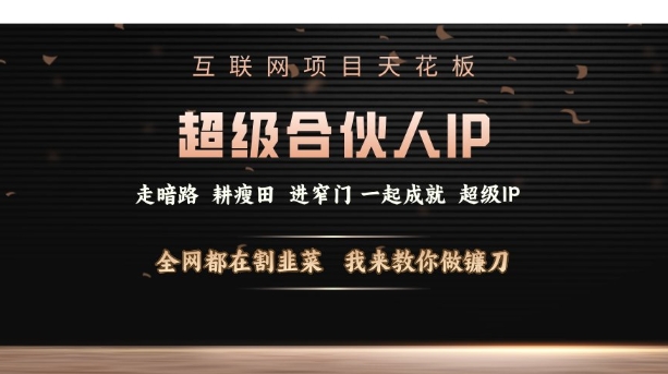 互联网项目天花板，超级合伙人IP，全网都在割韭菜，我来教你做镰刀【仅揭秘】-玖卿社区