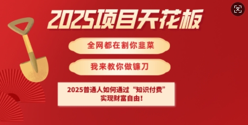 2025项目天花板普通人如何通过知识付费，实现财F自由【揭秘】-玖卿社区