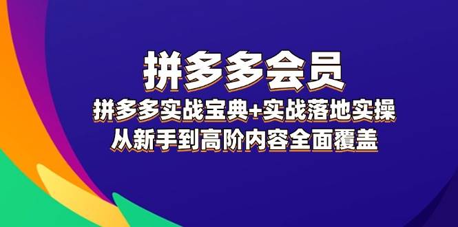 拼多多 会员，拼多多实战宝典+实战落地实操，从新手到高阶内容全面覆盖-玖卿社区